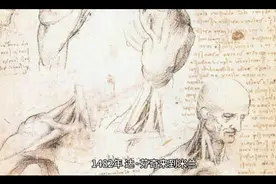 达芬奇鼎盛期创作作品视频封面