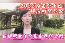 今年上调养老金基数，包括职业年金和企业年金吗？听我细细说！视频封面