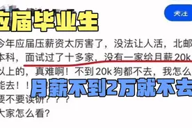 月薪低于2万，狗都不干，应届毕业生面试十多家企业后抱怨到！视频封面