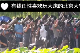 玉渊潭公园现场实录北京玩大炮拍鸟大爷视频封面