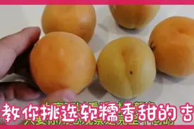 杏子熟了！教你如何挑选自然成熟的杏