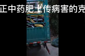 禾正中药肥专业解决土传病害、植株健康、根系发达。视频封面