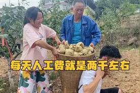 四川农村请人干活，每人一天七十元，这工价在当地算合理吗？视频封面