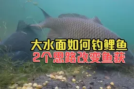 大水面如何钓鲤鱼，2个思路改变鱼获视频封面