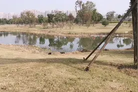 工会在哪里 996 1075 005 工会在哪里，可以留言讨论一下视频封面