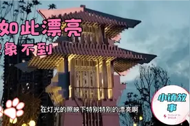 郫都区红光镇真是开发的越来越繁华了！不来这逛逛，还真难以置信视频封面