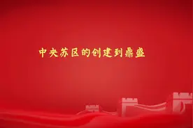 中央苏区的创建到鼎盛视频封面
