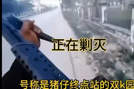 谁在剿灭妙瓦底猪仔园区？是美西方支持的保卫军，还是友好的缅军视频封面