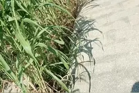 一个女人最好的心态，就是要学会爱自己视频封面