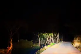 乡下人跑到城里转一转，城市的灯光如此的美丽，位于中国浙江青田视频封面