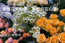 我想你在心里视频封面