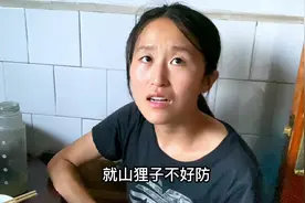 姑娘在山里养鹅，最怕黄鼠狼，它只喝血不吃肉防不胜防视频封面