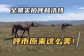 全景实拍呼和浩特，原来呼市这么美！内蒙古第一大城市到处是美食视频封面