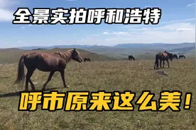 全景实拍呼和浩特，原来呼市这么美！内蒙古第一大城市到处是美食视频封面
