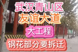 武汉青山区，友谊大道钢花要拆迁，友谊大道搞什么大工程，看看吧视频封面