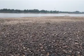 好石头没捡到，又被罚二百，我也是醉了视频封面