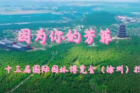 第十三届国际园林博览会掠影，因为你的到来徐州更精彩视频封面