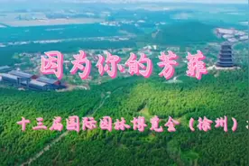 第十三届国际园林博览会掠影，因为你的到来徐州更精彩视频封面
