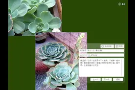 一日看尽常见花系列之室内花卉～视频封面