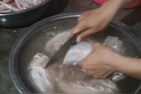 猪舌头去舌苔的加工方法！上门现场操作指导视频封面