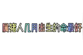 属猪人几月出生的命好，仅供娱乐！视频封面