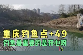 重庆钓鱼点，这边的水真的好深啊，来的路上一直能看到大鱼！视频封面