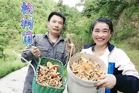 松树菌的功效与作用
1、增强免疫力
2、预防癌症
3、保护肝脏视频封面