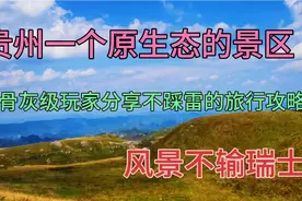 认真分享贵州一条小众的自驾线路，画面大，景色美，纯原生态视频封面