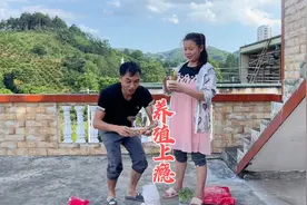 农村怀孕媳妇养多肉上瘾了，网上买了好多花瓶，听炮哥说了啥视频封面