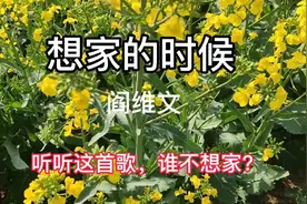 清明时节雨纷纷，亲情难断，故土难分视频封面
