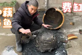 农村这种废旧陶缸，院子里种藕养鱼，小伙用力过猛，这下得换新了视频封面
