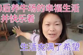 80后养牛场的幸福生活，苦中作乐，这就是生活，加油！视频封面