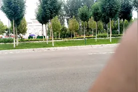 丹朱古墓景区视频封面