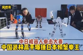 机器人拳击比赛，中国武林高手大白爆锤日本螃蟹拳王视频封面