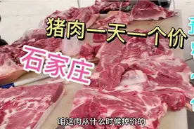 石家庄大集猪肉真便宜，一天一个价，看看今天多少钱一斤？视频封面
