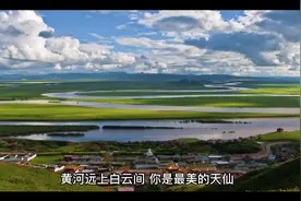 撩妹诗词合集视频封面