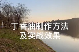 爆护秘籍——“神油”丁香油，来看看最简单的制作方法及实战效果视频封面