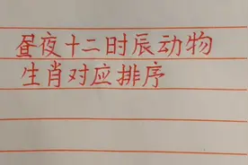 昼夜十二时辰动物生肖对应排序视频封面