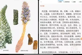 陈士铎讲，肉苁蓉视频封面