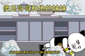 傻瓜哥哥和他妹妹的故事视频封面