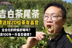 全白化的安吉白茶好喝吗？免费送了20位茶友品尝，100多一斤值吗视频封面