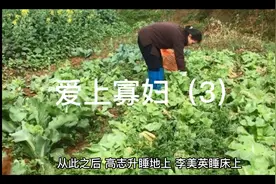爱上寡妇视频封面