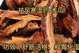 介绍祛风寒湿药•木瓜，具舒筋活络和胃化湿等作用。视频封面