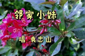 初恋情怀！星光大道十佳袁忠山《邻家小妹》送你一颗火热的心。视频封面