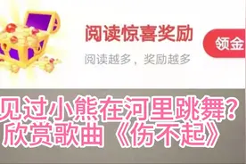 陕西诺铱：赏歌曲《伤不起》，我已经伤不起了，请你不要再伤害我视频封面