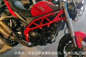 赛科龙RZ3视频封面