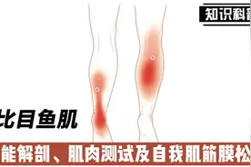 人体的第二个心脏，常被跑者忽略的肌肉，比目鱼肌视频封面