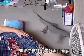 一条巨蜥爬入家里，吓坏家里的小女孩。视频封面