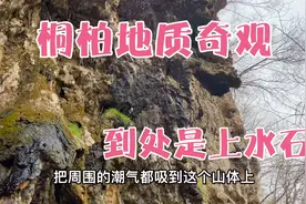 南阳桐柏山金矿附近地质奇观：到处上水石，山体居然还会吐雾气！视频封面