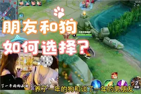 男朋友和狗如何选择，亮瞎了我的钛合金狗眼
